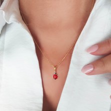 Vaoov 925 Ayar Gümüş Kırmızı Uğur Böceği Kolye