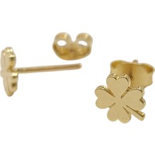 Genel Yonca Vidalı Küpe 14 Ayar Altın Hd Videolu