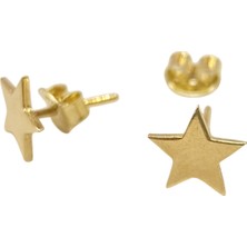 Genel Yıldız Vidalı Küpe 14 Ayar Altın Hd Videolu