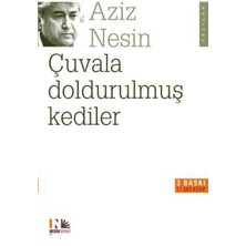 Mabelme Store Çuvala Doldurulmuş Kediler