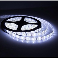 Noas 12V 4040 Iç Mekan 6500K Beyaz Işık Şerit LED 10 Metre