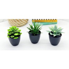 Türker Modern 3'lü Yapay Sukulent Takımı – Estetik Saksılı Dekoratif Bitki Seti