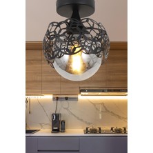 Taşcan Aydınlatma Alonso Tekli Siyah Avize Füme Cam  Dekoratif Tasarım Modern Yatak Odası Salon Hol Mutfak Avize