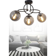 Taşcan Aydınlatma Sisam 3 Li Siyah Krom Avize-Füme Camlı Dekoratif Tasarım Yatak Odası Mutfak Salon Avize