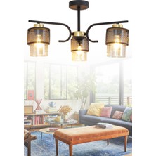 Taşcan Aydınlatma Amon 3 Lü Siyah Gold Avize Boru Cam Dekoratif Tasarım Yatak Odası Mutfak Salon Avize