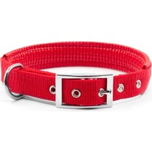 Royalist Yumuşak Dokulu Ayarlanabilir Köpek Tasması – 51 cm 20 mm