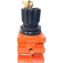 Semakmatic 1 /2" Kilitli Regülatör