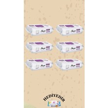 Sleepy Yüzey Temizlik Havlusu Orkide 6 Paket 600 Yaprak
