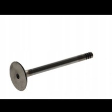 TRW Bmw Supap M30 Egzoz [E28 E34] 530/730I