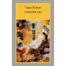 Tp Ustadır Arı