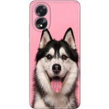 Egstech Oppo A38 Kılıf (CPH2579) Uyumlu Silikon Desenli Kalıplı Kapak Hasky