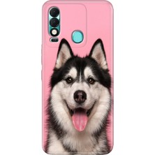 Egstech Tecno Spark 8t Kılıf Desenli Kapak Renkli Hasky