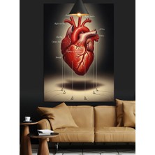 Karizma Tablo Anatomik Kalp Kırmızı Damarlar Dekoratif Kanvas - Mdf Ahşap Tablo