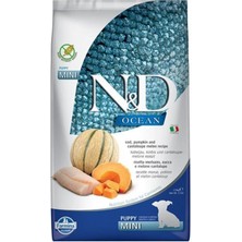 N&d Ocean Morina Balığı Balkabağı ve Kavunlu Yavru Köpek Maması 2.5 kg - 8010276038791 - Petshopundan