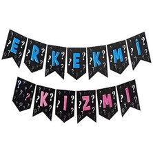 Patladı Gitti Erkek Mi Kız Mı Zikzak Banner