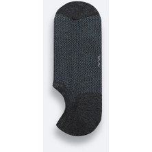 Avva Erkek Antrasit Pamuklu Sneaker Çorap A51Y8505