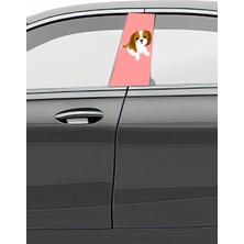 Pi Dekorasyon Araç Kapı Direk Kaplama Folyosu Desenli (Sağ Sol Takım) (2 Adet) - 22X50 cm