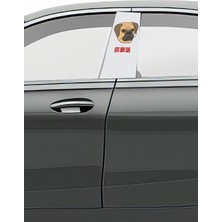 Pi Dekorasyon Araç Kapı Direk Kaplama Folyosu Desenli (Sağ Sol Takım) (2 Adet) - 22X50 cm