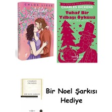 Artemis Yayınları Aşktan Ağzı Yanan (Ciltli) + Tuhaf Bir Yılbaşı Öyküsü + Bir Noel Şarkısı