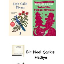 Kapı Yayınları Şeyh Gâlib Divanı + Tuhaf Bir Yılbaşı Öyküsü + Bir Noel Şarkısı