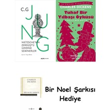 Alfa Yayınları Nietzsche'nin Zerdüşt'ü Üzerine Seminerler (Ciltli) + Tuhaf Bir Yılbaşı Öyküsü + Bir Noel Şarkısı