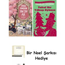 Artemis Yayınları Yeni Bir Aşk + Tuhaf Bir Yılbaşı Öyküsü + Bir Noel Şarkısı