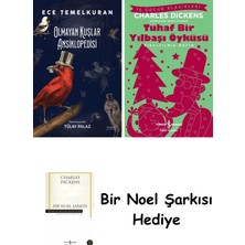 Everest Yayınları Olmayan Kuşlar Ansiklopedisi + Tuhaf Bir Yılbaşı Öyküsü + Bir Noel Şarkısı