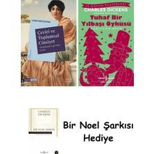 Everest Yayınları Çeviri ve Toplumsal Cinsiyet + Tuhaf Bir Yılbaşı Öyküsü + Bir Noel Şarkısı