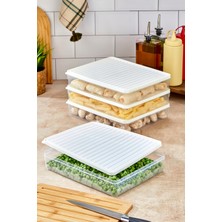 Saklama Kabı Seti 4’lü 2.5l (Toplam 10L) | Hava Geçirmez | Dondurucu Uyumlu