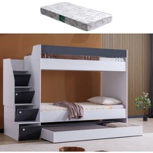 Setay Ranza, Martin Yavrulu Ranza - Antrasit 1 Adet Comfort Yatak