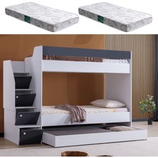 Setay Ranza, Martin Yavrulu Ranza - Antrasit 2 Adet Comfort Yatak