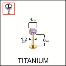 Rupen Kraft %100 G23 Titanyum Titanyum Altın Mor Opal Taşlı Kıkırdak Tragus Labret Piercing