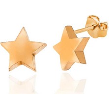 Gumush Hk Gümüş Kadın Küpe Rose Yıldız Çivili |Gümüş Takı Hediyelik Ürünler