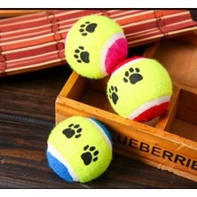 MiraLive At Getir Köpek Eğitim Topu (K95)