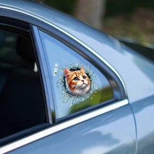 MiraLive Fulcar Sarman Araç Stickerı