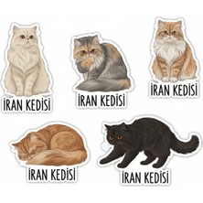 Bsb Kediler Telefon Laptop Notebook Tablet Defter Matara Stiker Etiket ST2346