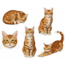 Bsb Kediler Telefon Laptop Notebook Tablet Defter Matara Stiker Etiket ST2349