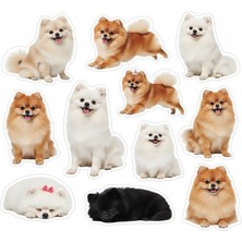 Bsb Köpekler Telefon Laptop Notebook Tablet Defter Matara Stiker Etiket ST2334