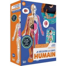 Insan Vücudunu Keşfediyorum Poster -Model ve Kitap