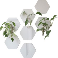 Fibrika Store Hexagrow 7'li Duvar Bitki Seti