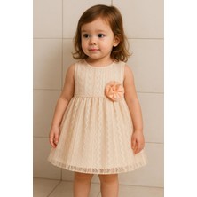 Rapapa Kız Çocuk Pudra Dantel Elbise – Çiçek Detaylı Şık Model 500525
