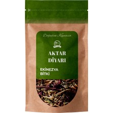 Aktar Diyarı Ekinezya Bitki 1000 gr