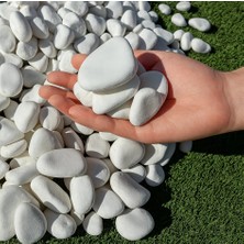 Lin Dekor Beyaz Dolomit Taş 2-4 cm 40 kg Dere Taşı Çakıl Taşı Bahçe Süs Taşı Peyzaj Taşı Dekoratif Taş