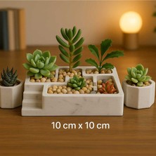 2'li El Yapımı Kare Saksı Seti - Handmade Tasarım Taş Tozu Sukulent Mumluk Dekoratif Biblo 8 cm