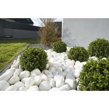 Lin Dekor Beyaz Dolomit Taş 6-10 cm 10 kg Dere Taşı Çakıl Taşı Bahçe Süs Taşı Peyzaj Taşı Dekoratif Taş