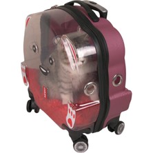 Lepus Pembe Renkli Wheel Bag Şeffaf Malzeme ile Taşınabilir Kedi Seyahat Çantası