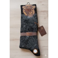 Pro; Lambswool (Yün) Erkek Çorap; Dikişsiz; Asorti 5'li Paket