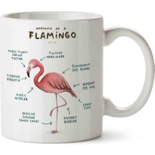 Flamingo Anatomisi Flamingo Anatomy Porselen Kupa Bardak