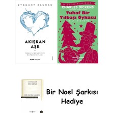 Alfa Yayınları Akışkan Aşk + Tuhaf Bir Yılbaşı Öyküsü + Bir Noel Şarkısı