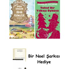 Artemis Yayınları Nerde Kalmıştık + Tuhaf Bir Yılbaşı Öyküsü + Bir Noel Şarkısı